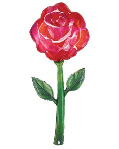 60" Fresh Picks Watercolor Rose