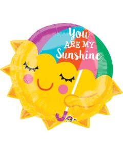 18" You Are My Sunshine!